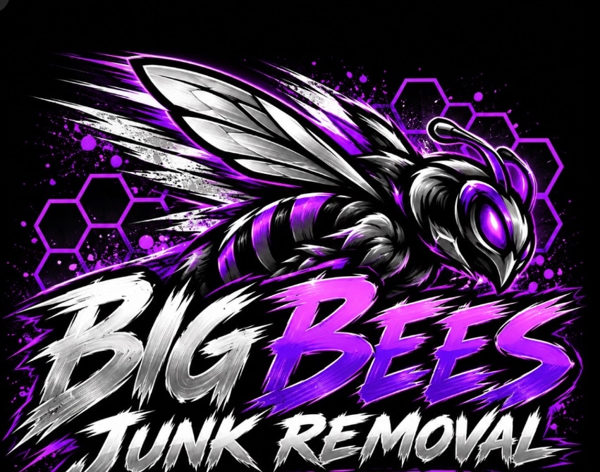 Aggressive silver-and-purple bee above the Big Bees brush-lettered logo